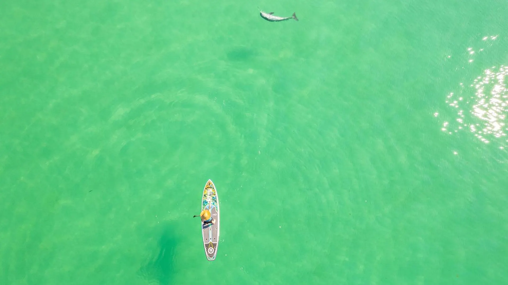Apartment Shoreline Towers 1123- By Holiday Isle Properties Destin United States