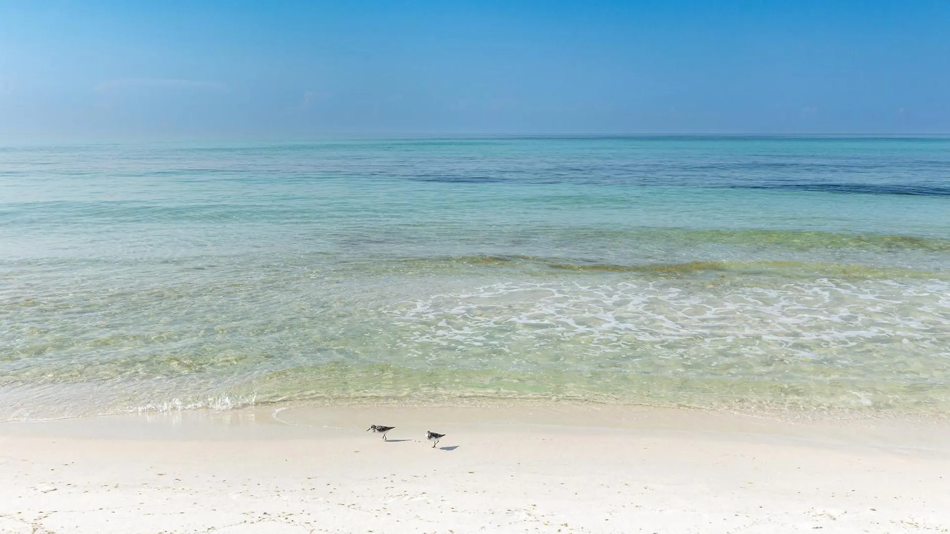 Shoreline Towers 1123- By Holiday Isle Properties Destin