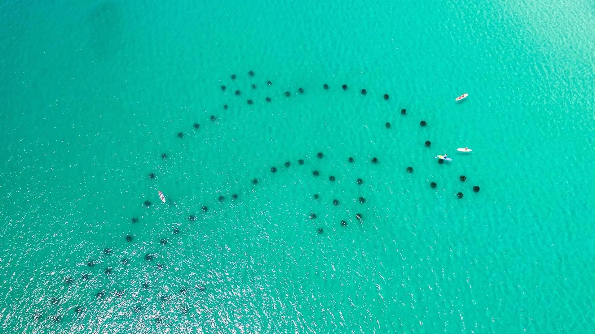 Shoreline Towers 1123- By Holiday Isle Properties Destin United States
